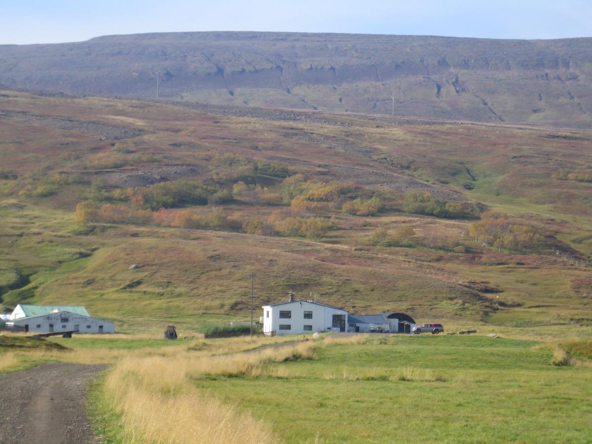 Hlíðarendi guesthouse Godafoss Extérieur photo